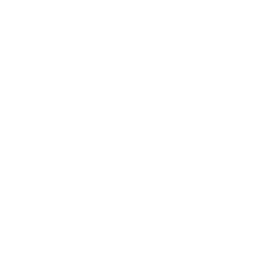 Logo icon